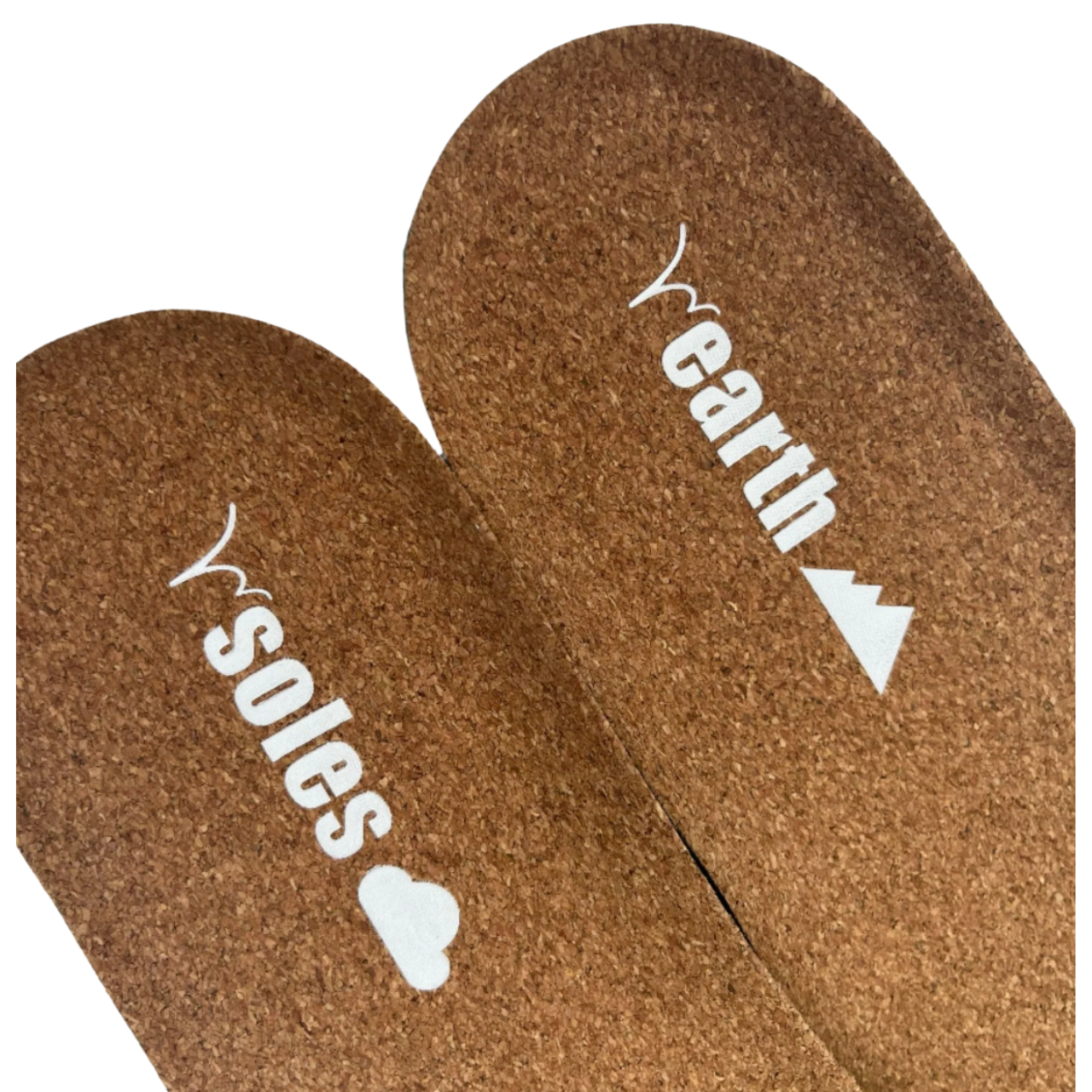 Earth InSoles