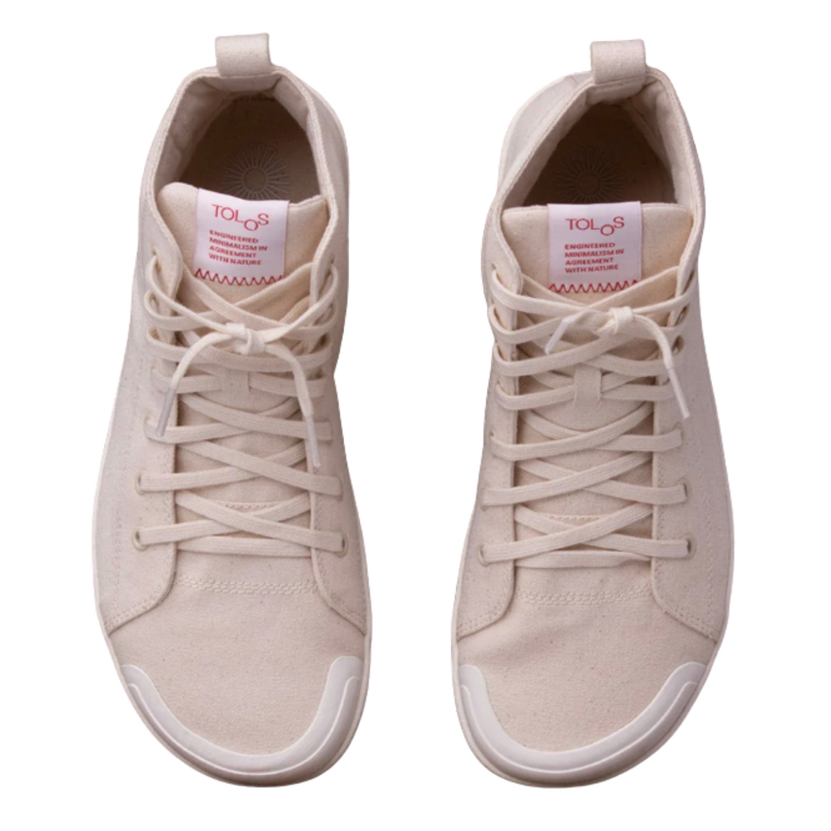 Canvas High (Transition)