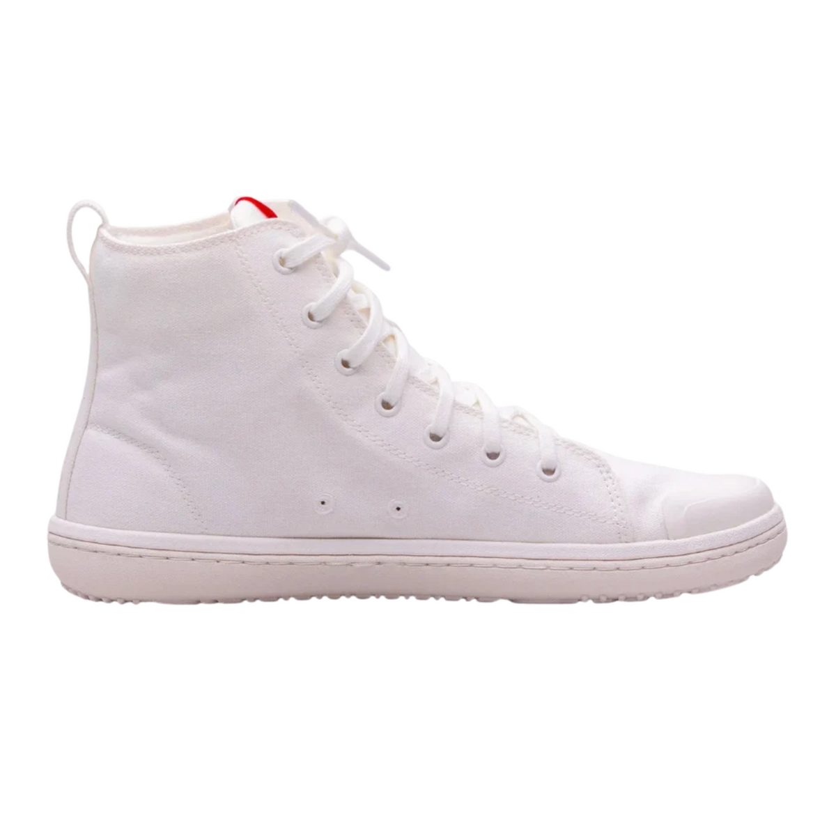 Canvas High (Transition)
