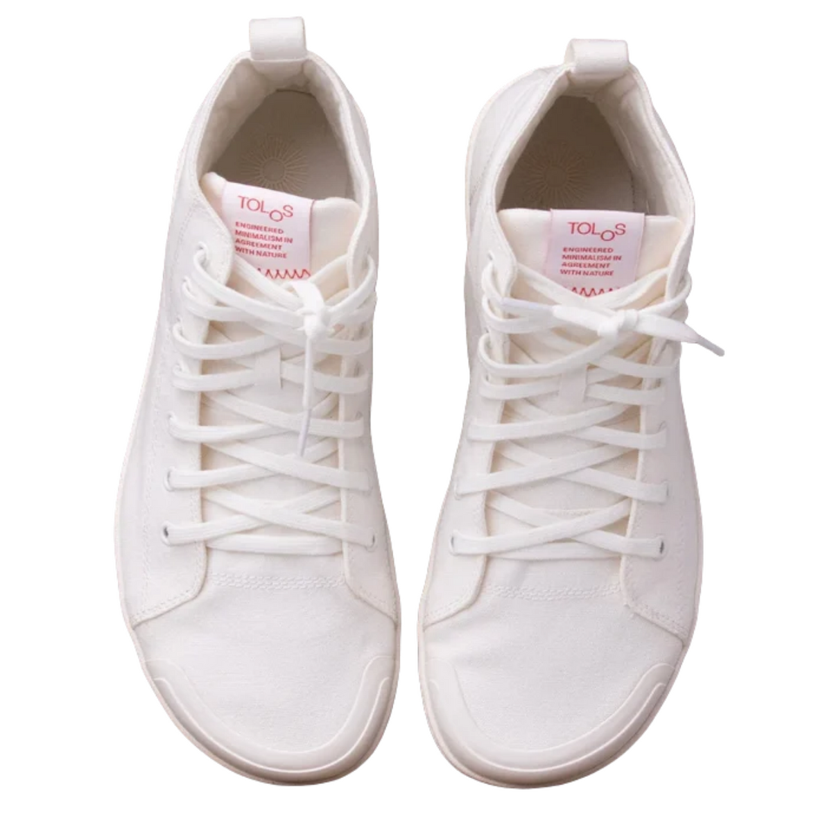 Canvas High (Transition)