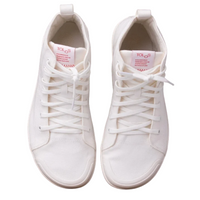 Canvas High (Transition)