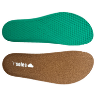 Earth InSoles