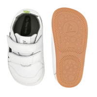 Landy. Toddler's