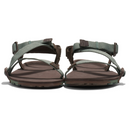 Z-Trail EV. Men's