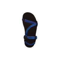 Z-Trail EV. Women's (Bright Blue)