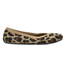 Phoenix Knit. Women's